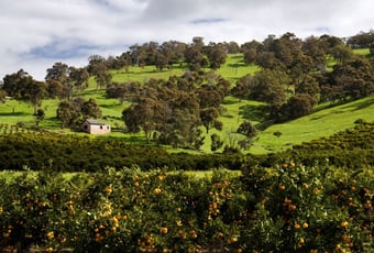 Sml_DarrenCox_20090901_ChitteringValleyPhoto_(2)