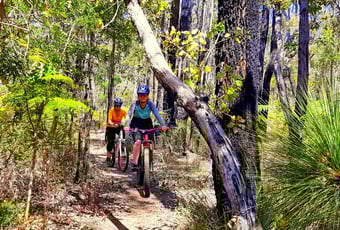 Dead_Cats_-_Arklow_Network_1