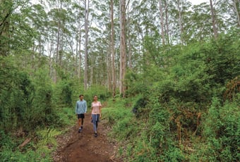 Gloucester_NP_trail_couple_Tourism_WA