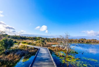 Boardwalk over wetlands, Erskine Trail, Len Howard Conservation Reserve