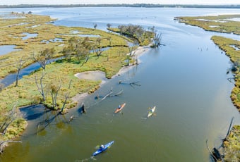 Lake_Goegrup_Spoonbill_Trail_Visit_Mandurah
