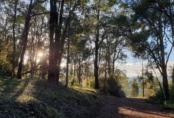 wungong_gorge_walk_2