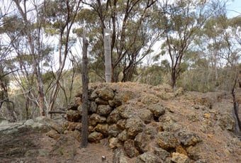 Firetower_along_the_Firetower_Loop_Walk