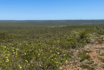 Iain Wilson Nature Trail_Badgingarra1_CSoord