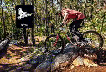 Firetail_Wambenger_Wellington NP_@By Denzil