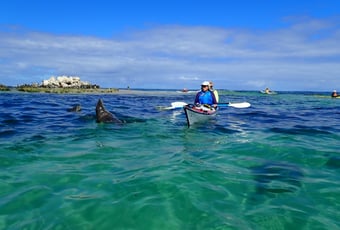 Little Island Kayak Trail5_Hillarys_Mark Stallbaum