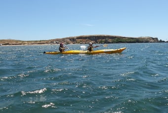 Shoalwater1_Rivergods Kayaking Tours and Hire.jpg