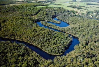 Frankland_River__Kapagup Network_Michael_Hemmings