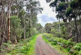 Wilson Inlet Heritage Trail2_Denmark_KStevens