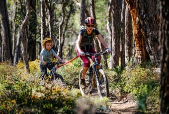 LLeschenaultia_Eastern_Line