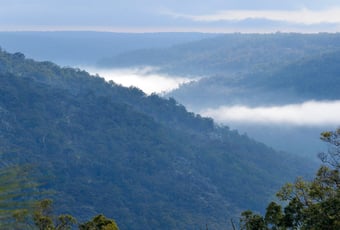 Red Swamp Brooke_Paruna_Wayne Lawler