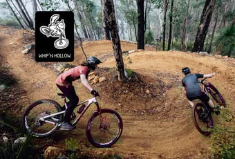 WhipNHollow_Wambenger_Wellington NP_@By Denzil