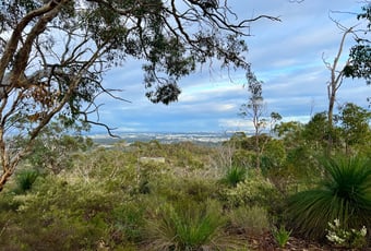 City View1_Xanthorrhoea Trail_K.Stevens