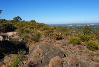 Palm_Terrace_Walk_25