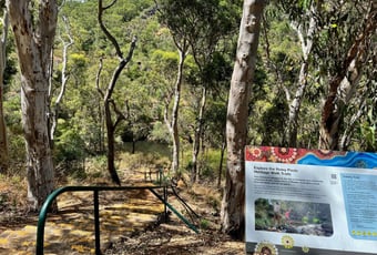 Roley_Pools_Heritage_Trail_Stairs_KS