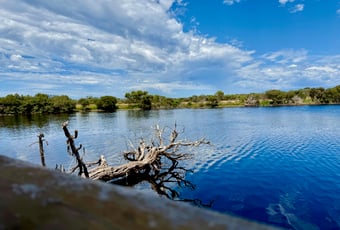 Dabungool Monjunup 10_A.Sleeman