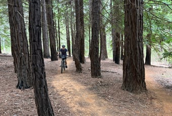 The Arboretum. Bron Anderson DBCA (29)