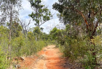 kangaroo-trail-walyunga-national-park-dbca-03.jpg