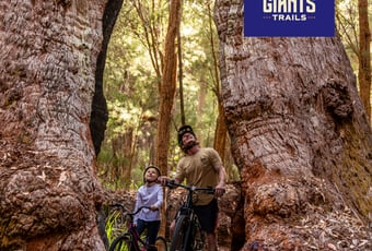 Network Card_RTT_Giants Trails_Nic Quinn Ride On