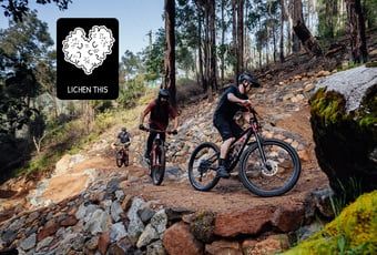 Lichen This_Wambenger_Wellington NP_@By Denzil