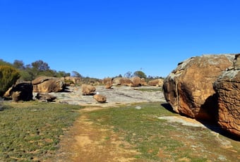 Gathercole_Reserve_Walk_Trail_1