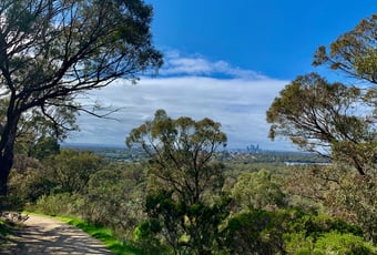 Zamia Trail_CityView_KStevens