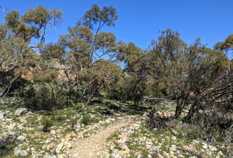 JingemiaCave_WatherooNP_DBCA_1