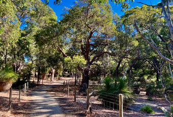 Trail2_Star Swamp_KStevens