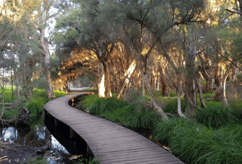 Joondalup Circuit_YellagongaRP_MargaretGreville