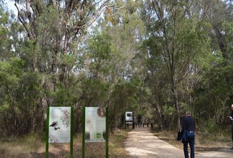 LimeKiln_YalgorupNP_1