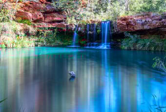 Fern Pool_KarijiniNP_TourismWA