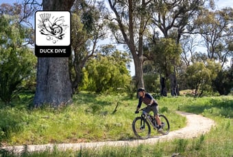 DuckDive-Yalbunullup