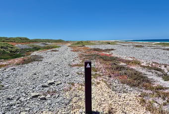 Pelsaert_Island_DBCA 1