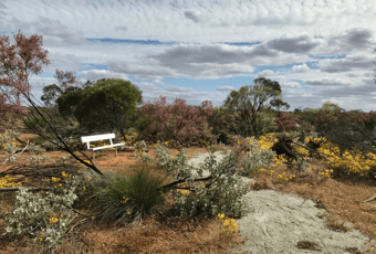 Widimia Trail_Morawa5_CSoord