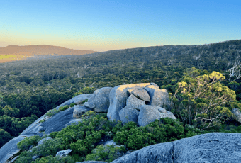 Monkey Rock6_Denmark_KStevens