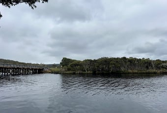 Frankland River_near Nornalup_KStevens