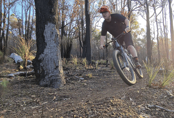 Watch_Your_Head_LangfordPark_CreditDBCA_1