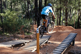 MiddleSchool_Collie_CreditTAllott_Gallery1