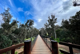 Nannup Trailhead Bridge_Timberline Trail_Landscape_KS
