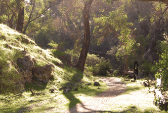 Yanchep NP - Nature Mondays