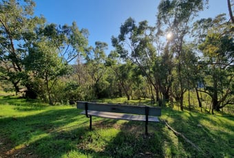 EchidnaTrail_ChurchmanBushland_PHAVC_1