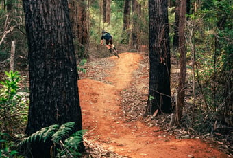 The Arboretum. Sean Tysoe (16)