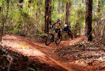 The Arboretum_FlowMTB (19)