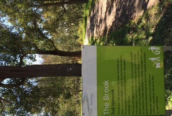 brook_trail_byford