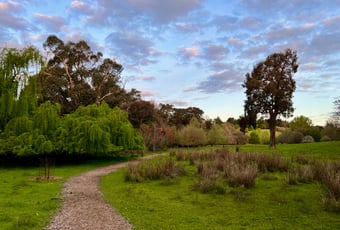 Golden Valley Tree Park2_Balingup_KStevens