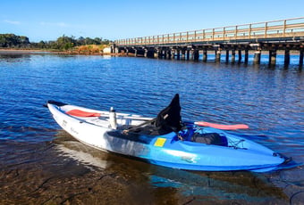 king_river_paddle_trail_1 chelle fisher.jpg