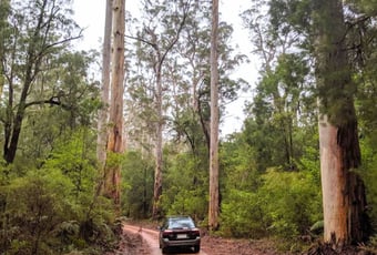 Heartbreak Drive, Warren NP, Bronwyn Wells