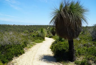 YaberooBudgera_Neerabup_DdeSouza_1