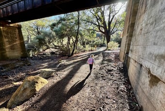 Bridge3_Falls Walk_JFNP_K.Stevens