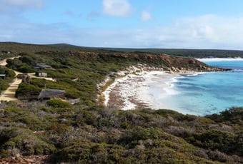 Pt Ann Fitzgerald NP Bronwyn Wells 2